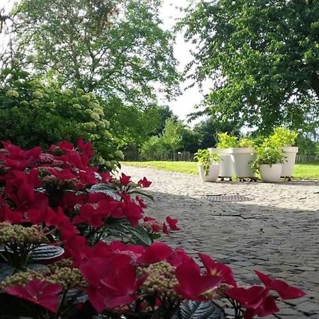Country House Clos Des Hortensias Blegny المظهر الخارجي الصورة