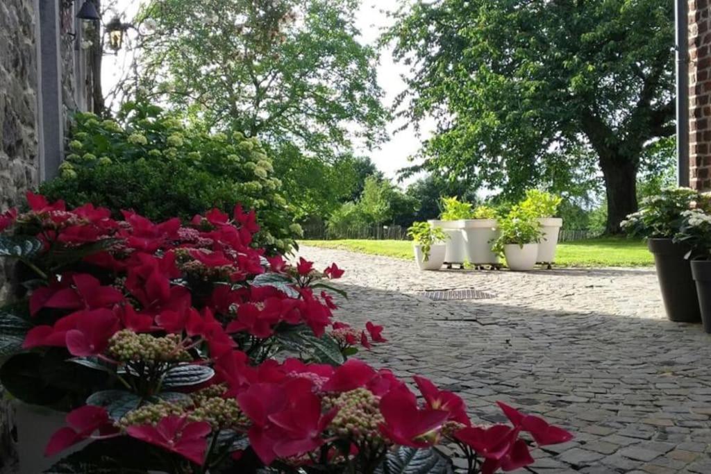 Country House Clos Des Hortensias Blegny المظهر الخارجي الصورة