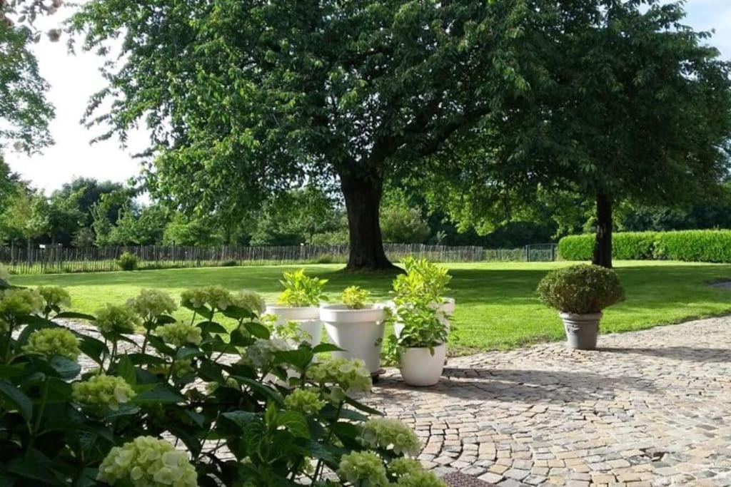 Country House Clos Des Hortensias Blegny المظهر الخارجي الصورة