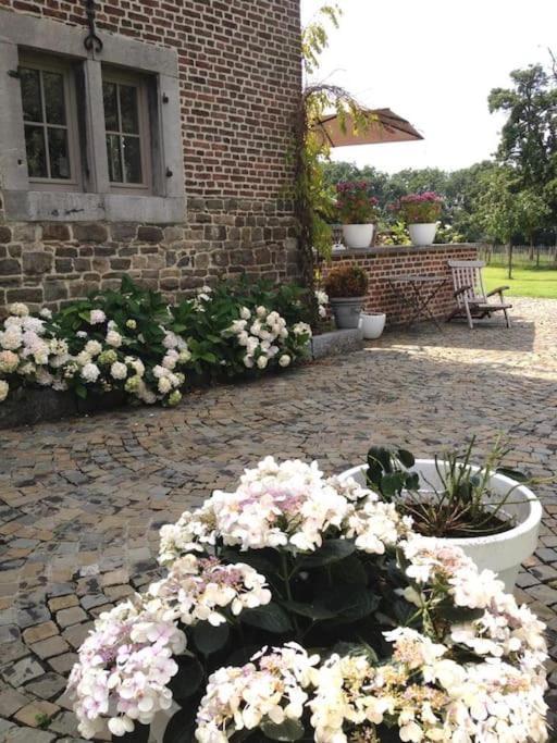 Country House Clos Des Hortensias Blegny المظهر الخارجي الصورة